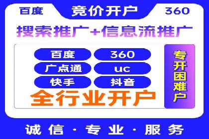 竞价广告在XX行业的成功应用案例